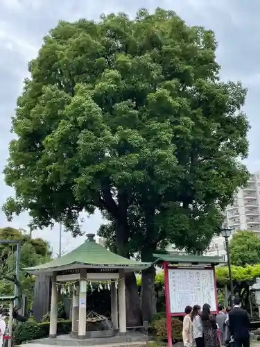亀戸天神社のその他建物