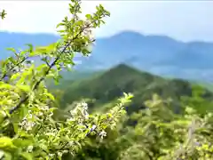 山家神社奥宮の自然