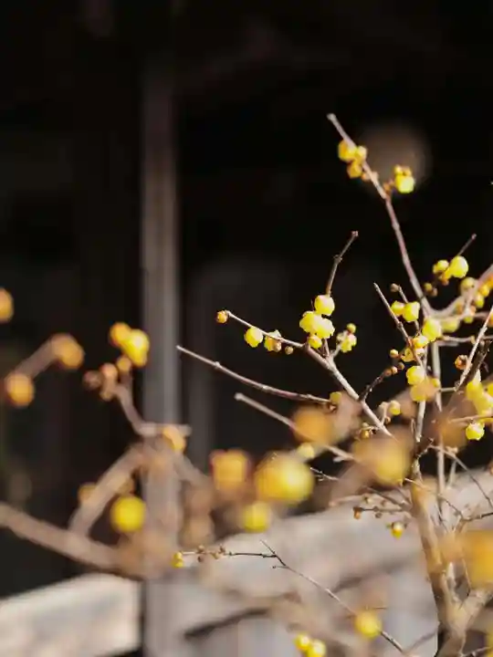 浄土寺(兵庫県)