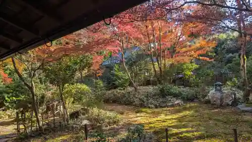 来迎院の庭園