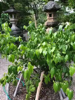 常宮神社(福井県)
