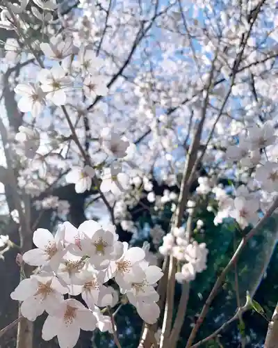 滑川神社 - 仕事と子どもの守り神の自然