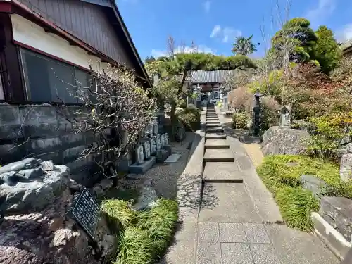智福院の{uncategorized: "未分類", other: "その他", undefined: "問題あり", building: "その他建物", grave: "お墓", sacred_gate: "鳥居", guardian: "狛犬", statue: "像", buddha: "仏像", history: "歴史", nature: "自然", garden: "庭園", animal: "動物", pagoda: "塔", temizu: "手水舎", mountain_gate: "山門・神門", sanctuary: "本殿・本堂", subordinate: "末社・摂社", art: "芸術", scenery: "景色", jizo: "地蔵", ema: "絵馬", goshuin: "御朱印", omikuji: "おみくじ", items: "授与品その他", amulet: "お守り", goshuincho: "御朱印帳", eats: "食事", festival: "お祭り", votive_dance: "神楽", shichigosan: "七五三参", wedding: "結婚式", experience: "体験その他", initially: "初詣", around: "周辺", anti_infection: "感染症対策"}
