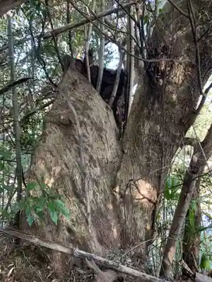 金比羅神社(千葉県)