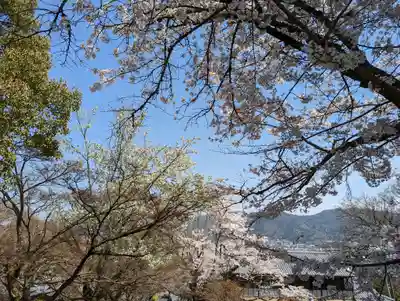 岩屋寺(京都府)