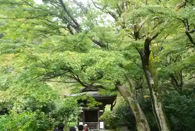 円覚寺(神奈川県)