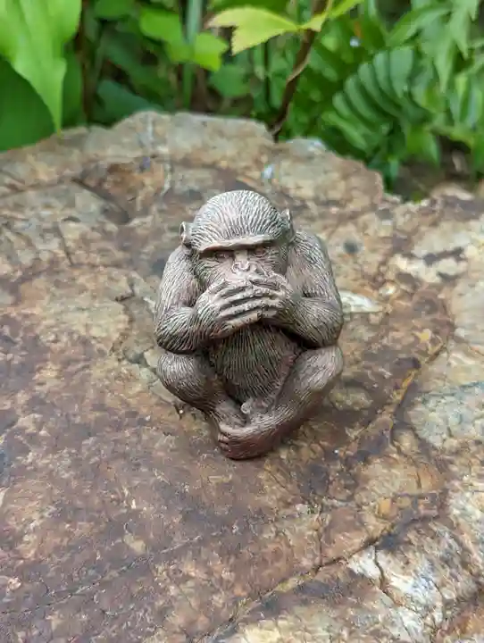 正伝護国禅寺(正伝寺・正傳寺)(京都府)