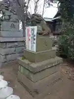 下高井戸八幡神社の狛犬