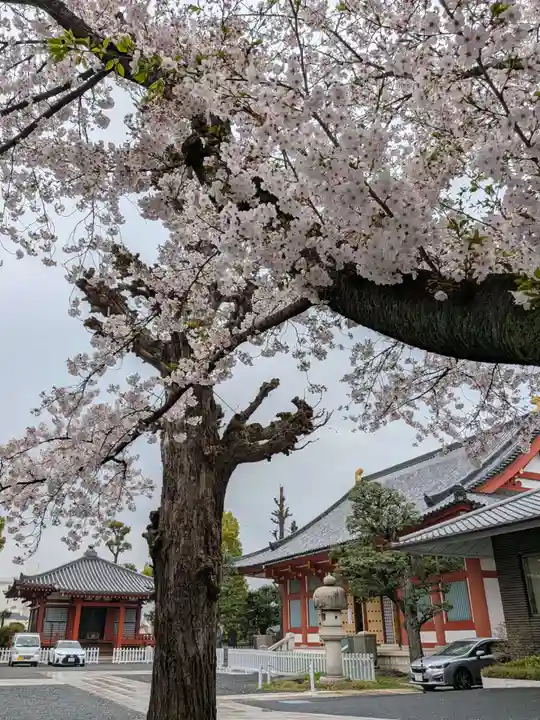 宝仙寺(東京都)