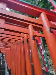 日枝神社の鳥居