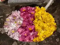 真言宗 善通寺派 薬王寺(香川県)