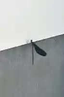 蚊里田八幡宮(長野県)