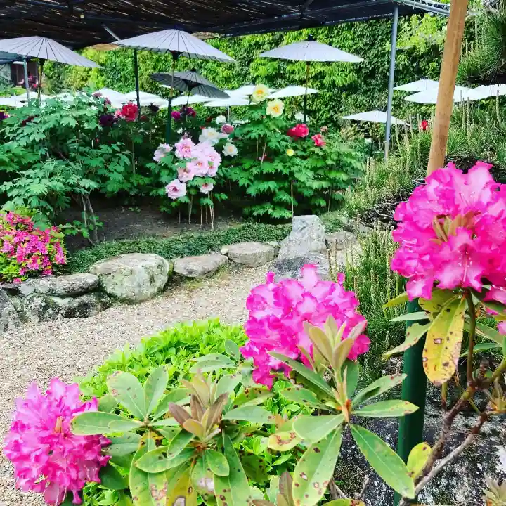 當麻寺西南院の自然