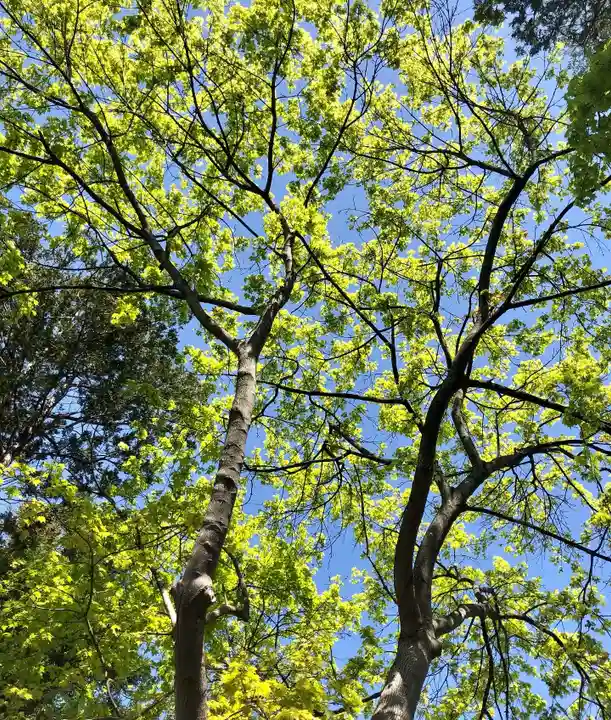 伊達神社の自然