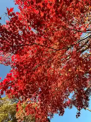 宝来山神社(和歌山県)