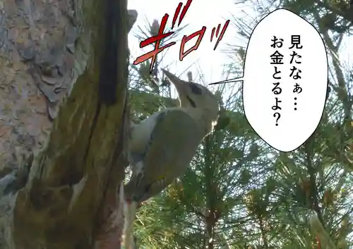 留辺蘂神社の動物