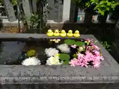 元町厳島神社の手水