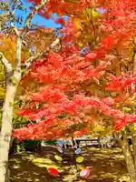 土津神社|こどもと出世の神さま(福島県)
