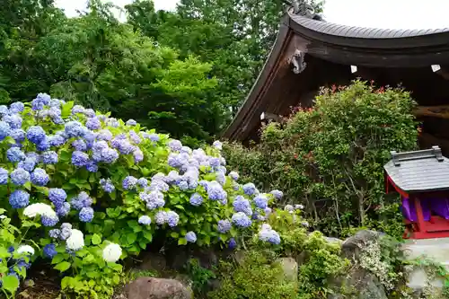 石母田　三吉神社の自然