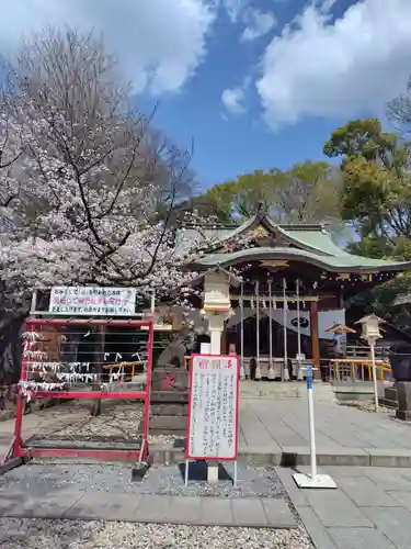 鎮守氷川神社(埼玉県)