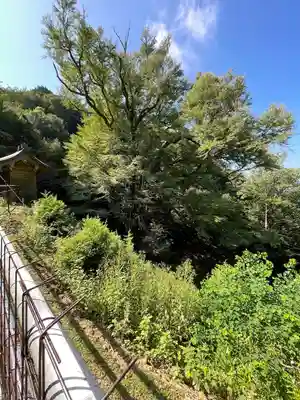 正法寺(滋賀県)