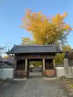 地蔵寺(徳島県)