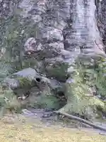 秩父今宮神社の自然