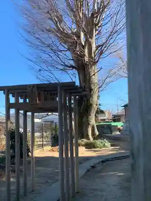 日限富士浅間神社(栃木県)