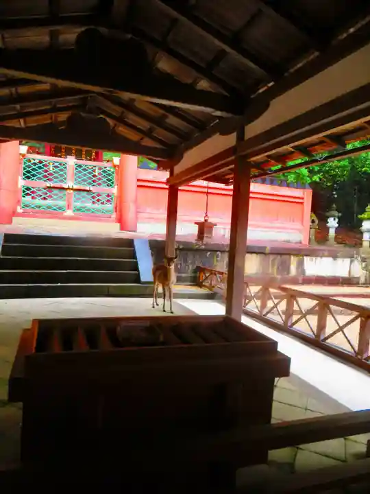 春日大社 若宮(春日若宮)(奈良県)