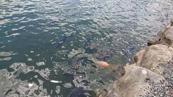 赤城神社の動物