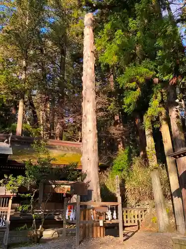 諏訪大社下社春宮の自然