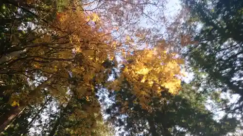 東金砂神社(茨城県)