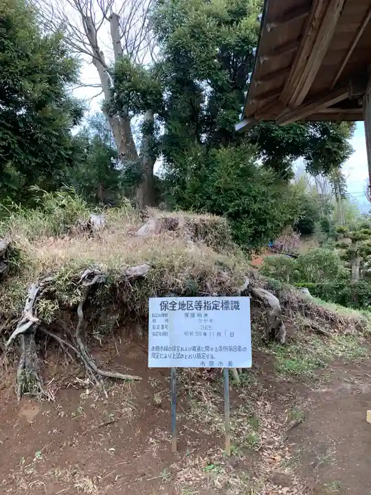 大宮神社(千葉県)