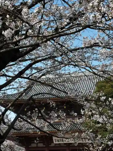 池上本門寺の{uncategorized: "未分類", other: "その他", undefined: "問題あり", building: "その他建物", grave: "お墓", sacred_gate: "鳥居", guardian: "狛犬", statue: "像", buddha: "仏像", history: "歴史", nature: "自然", garden: "庭園", animal: "動物", pagoda: "塔", temizu: "手水舎", mountain_gate: "山門・神門", sanctuary: "本殿・本堂", subordinate: "末社・摂社", art: "芸術", scenery: "景色", jizo: "地蔵", ema: "絵馬", goshuin: "御朱印", omikuji: "おみくじ", items: "授与品その他", amulet: "お守り", goshuincho: "御朱印帳", eats: "食事", festival: "お祭り", votive_dance: "神楽", shichigosan: "七五三参", wedding: "結婚式", experience: "体験その他", initially: "初詣", around: "周辺", anti_infection: "感染症対策"}