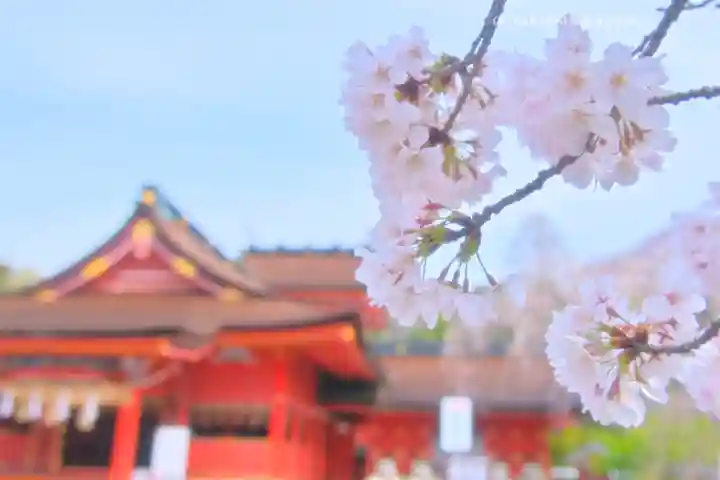富士山本宮浅間大社(静岡県)