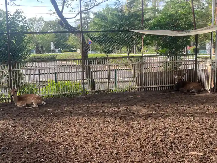 相州春日神社(神奈川県)