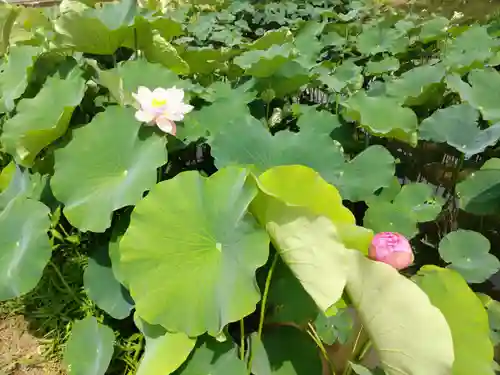 雲龍山 本證寺(愛知県)
