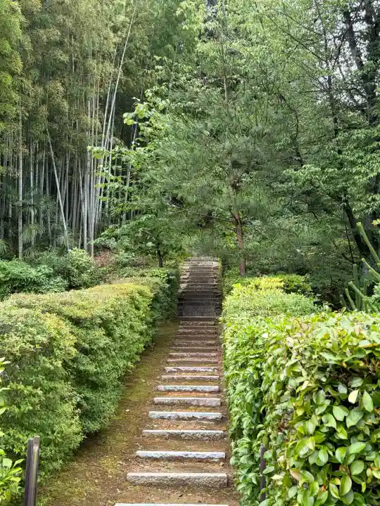 福成寺(京都府)