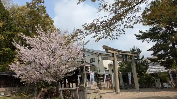 離宮八幡宮(京都府)