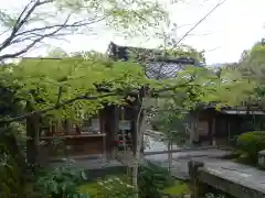 宝泉院の山門