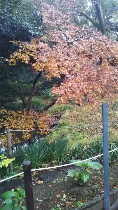 鷲宮神社の自然