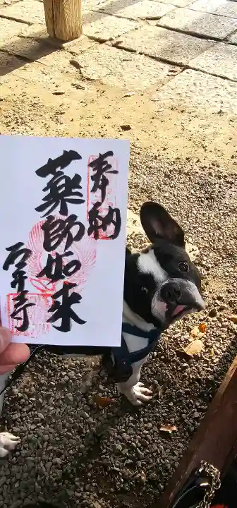 石手寺の御朱印