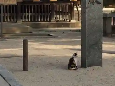 若松恵比須神社 (福岡県)