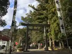 井伊谷宮の鳥居