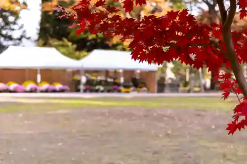 武水別神社(長野県)