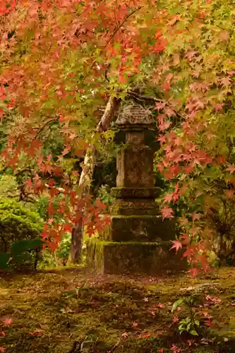 安楽寺(京都府)