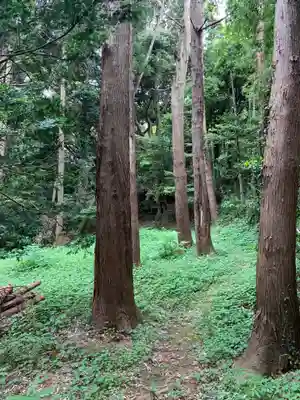 星宮神社(千葉県)