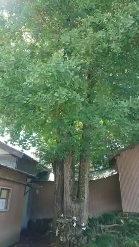 三嶋神社のその他建物