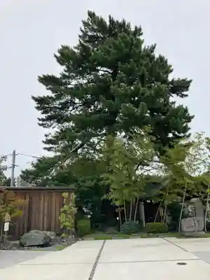 前橋東照宮(群馬県)