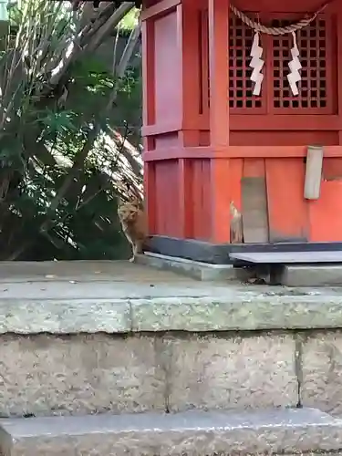 松原神社の動物